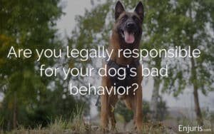 Texas Dog Bites: Strict Liability Or One-bite Rule?