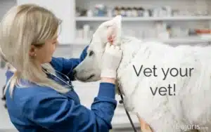 Has my veterinarian been disciplined?