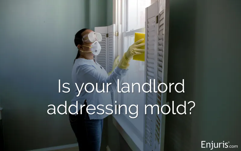 California landlord responsibilities with respect to mold